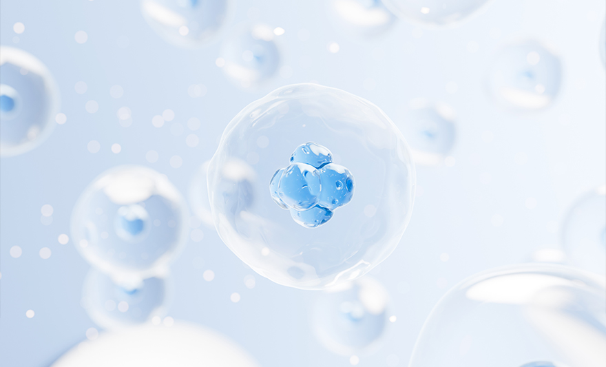 아주대학교 대학원분자과학기술학과 석박사통합과정 황현준 학생이 조직공학 및 재생의학 국제학회(TERMIS) 아시아퍼시픽이 주최하는 <TERMIS-AP 온라인 학생 논문 경진대회>에서 동상을 수상했다. 아주대 대학원 분자과학기술학과 석박사통합과정 황현준 학생은 ‘GHPA-GOx 하이드로젤 코팅에서의 안정적·지속적 저용량 과산화수소(H₂O₂) 방출에 따른 세포 노화 지연(Stable sustained low-dose H₂O₂ release from GHPA-GOx hydrogel coating delays cellular senescence)’이라는 제목의 논문으로 동상을 받았다. 지도는 첨단바이오융합대학∙대학원 분자과학기술학과 박현지 교수가 맡았다.    황현준 학생은 세포 노화를 지연시킬 수 있는 세포 배양 플레이트 개발에 관한 연구를 발표해 수상했다. 해당 연구는 세포의 노화 속도를 조절하는 배양 환경을 설계했다는 점에서 높은 평가를 받았다.